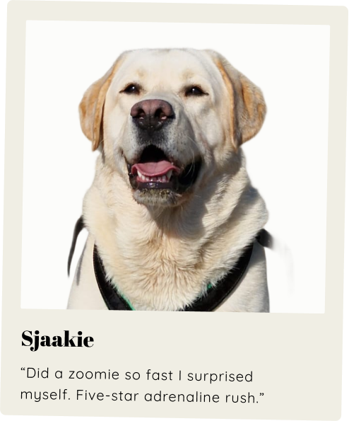 Sjaakie